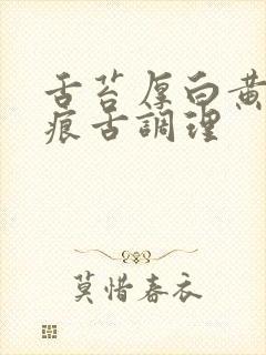 舌苔厚白黄有齿痕舌调理