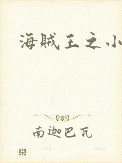 海贼王之小说