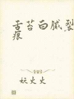 舌苔白腻裂纹齿痕