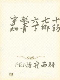 穿越六七十年代知青下乡的小说