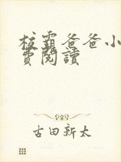 校霸爸爸小说免费阅读