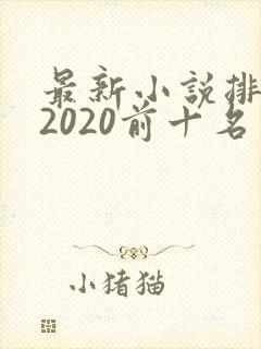 最新小说排行榜2020前十名