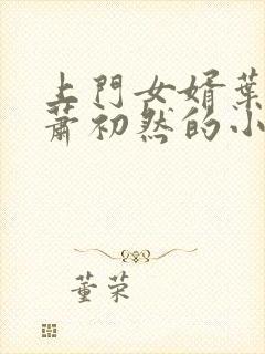 上门女婿叶辰和萧初然的小说最新章节