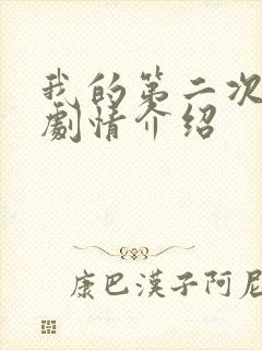 我的第二次人生剧情介绍