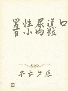 男性尿道口周围有小肉粒封面