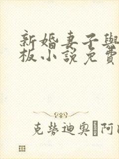 新婚妻子与菜老板小说免费阅读