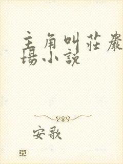 主角叫庄岩的官场小说