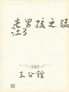 老男孩之猛龙过江3