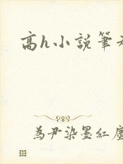 高h小说笔趣阁封面