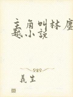 主角叫林尘的穿越小说