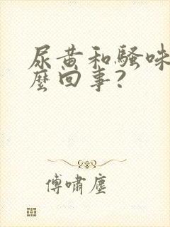 尿黄和骚味重怎么回事?