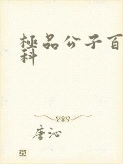 极品公子百度百科