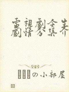 电视剧今生有你剧情分集介绍