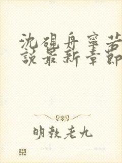 沈砚舟宁若曦小说最新章节