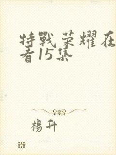 特战荣耀在线观看15集