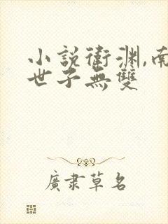 小说卫渊,南栀世子无双