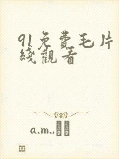 91免费毛片在线观看封面