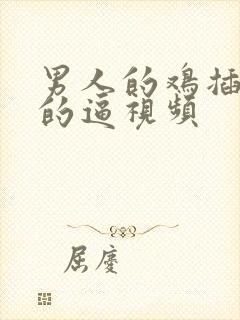 男人的鸡插女人的逼视频