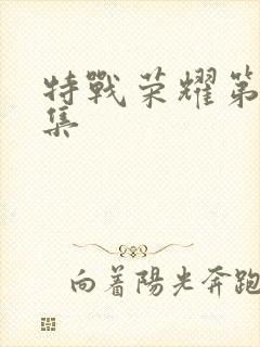 特战荣耀第10集