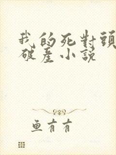 我的死对头终于破产小说