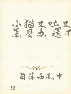 小猫又吐又拉稀怎么办 还不吃东西