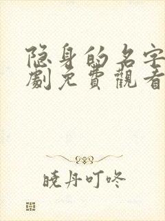 隐身的名字电视剧免费观看