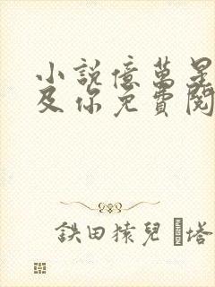 小说亿万星辰不及你免费阅读封面