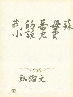 我的岳母苏沛真小说免费