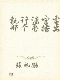 执行法官电视剧哪个台播出封面