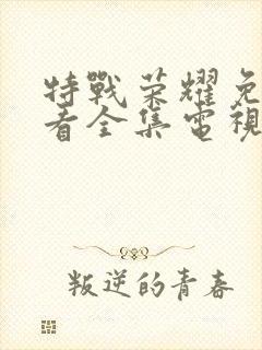 特战荣耀免费观看全集电视剧45集