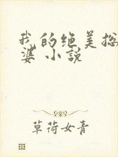 我的绝美总裁老婆 小说