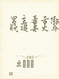 男主毒舌傲娇嘴贱追妻火葬场