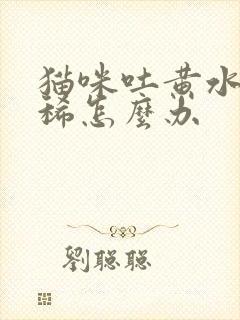 猫咪吐黄水还拉稀怎么办