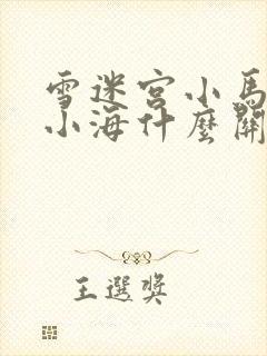 雪迷宫小马哥和小海什么关系