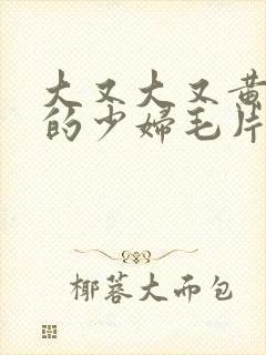 大又大又黄又爽的少妇毛片