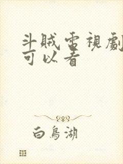 斗贼电视剧哪里可以看