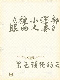 《被小泽部长驯服向人妻》封面