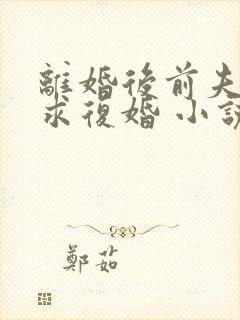 离婚后前夫哭着求复婚 小说完整免费