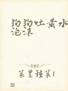 狗狗吐黄水带白泡沫