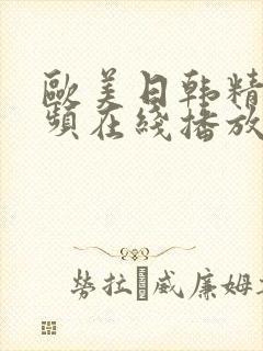 欧美日韩精品视频在线播放