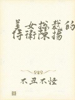 美女总裁的神级侍卫陈扬封面