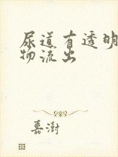 尿道有透明分泌物流出