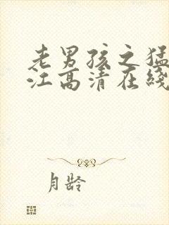 老男孩之猛龙过江高清在线观看