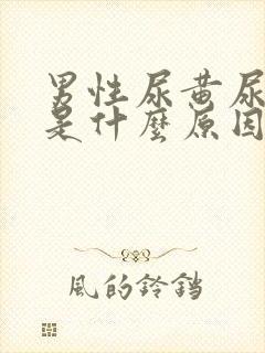 男性尿黄尿不尽是什么原因