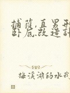 捕获,直男刑警卧底.改造计划小说计划