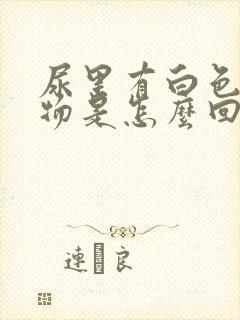 尿里有白色沉淀物是怎么回事