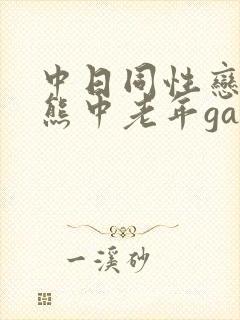 中日同性恋男胖熊中老年gay