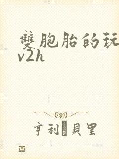 双胞胎的玩具1v2h