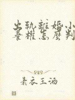 出轨离婚小孩抚养权怎么判