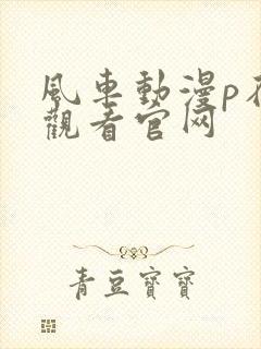 风车动漫p在线观看官网